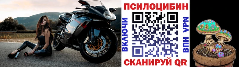 сколько стоит  Спасск  Галлюциногенные грибы Magic Shrooms 